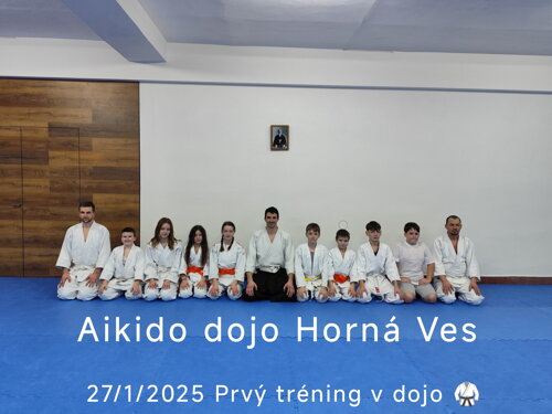 nove dojo